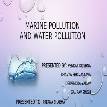 Water and Marine Pollution