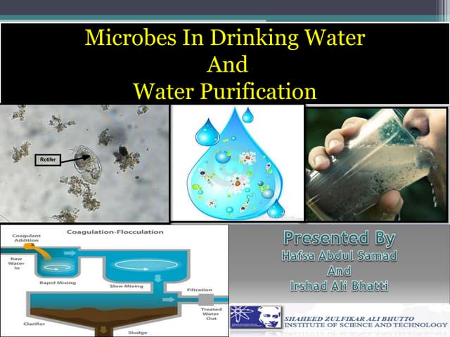 Microbes In Drinking Water And Wate...