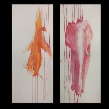 Watercolour animal  glaze and wet in wet