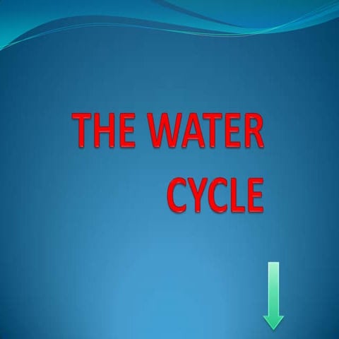 Grade 2 the water cycle