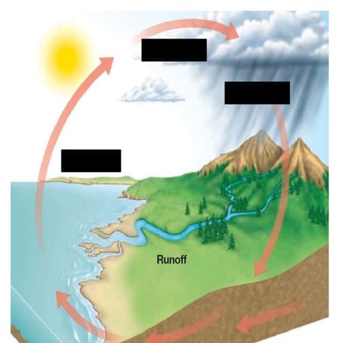 Water cycle