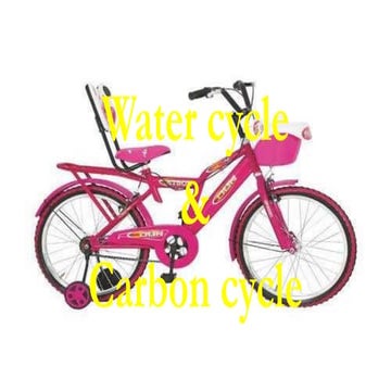 Water cycle and Carbon cycle by sohail