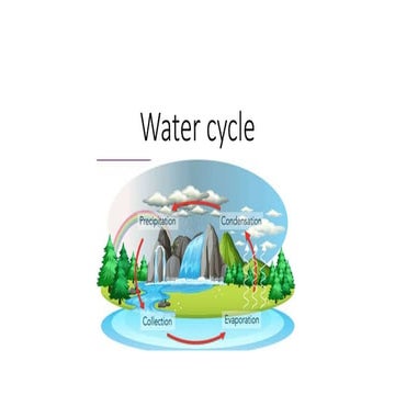 Water cycle.pdf