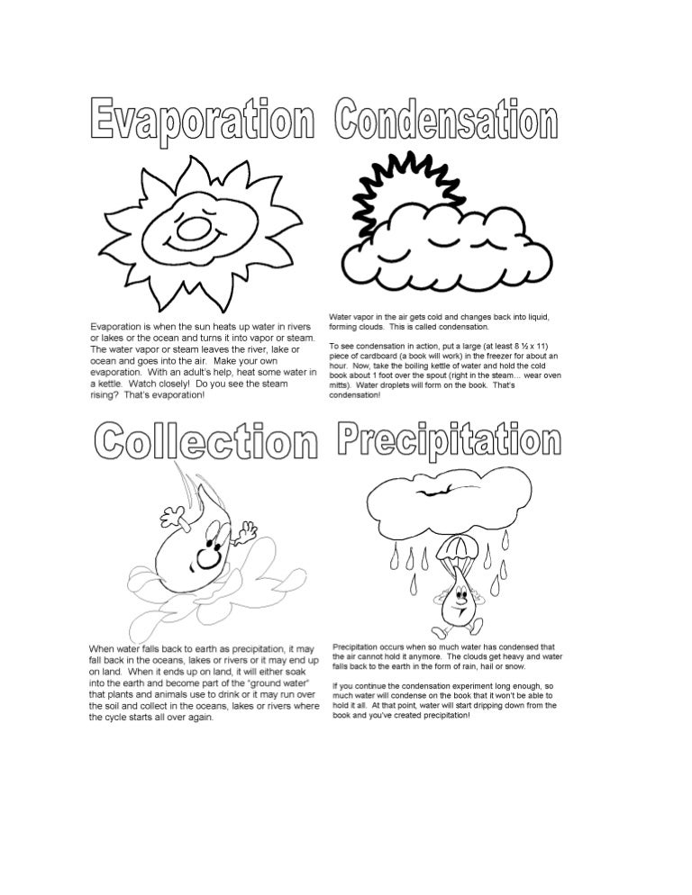 Water cycle definitions