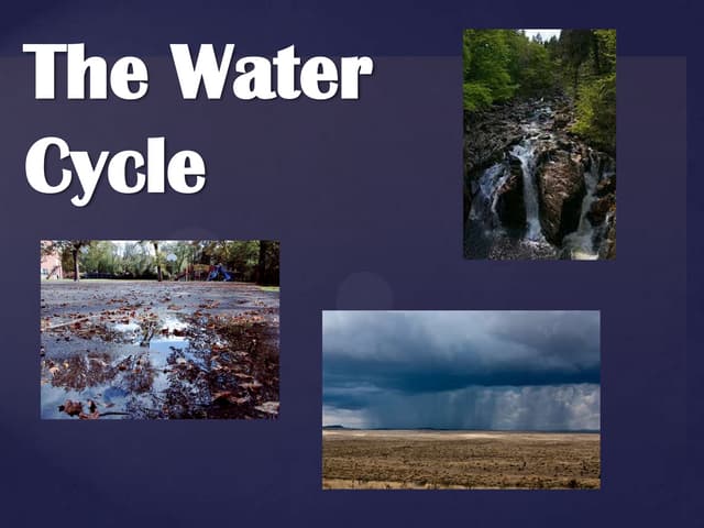 Grade 2 the water cycle