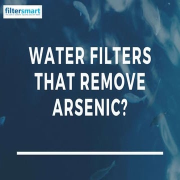 Water Filters That Remove Arsenic.pptx