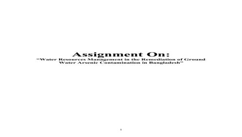 Assignment On: “Water Resources Management in the Remediation of Ground Water...