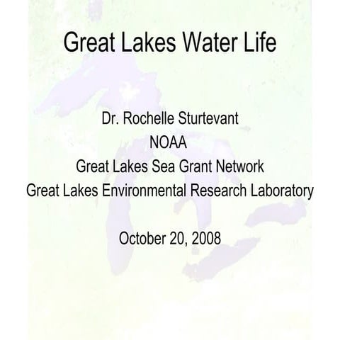 Waterlife Annotated