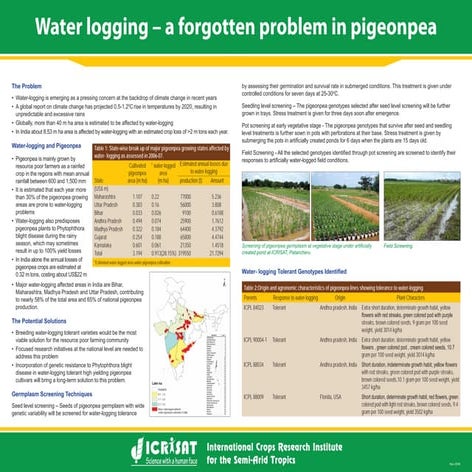 Water logging – a forgotten problem in pigeonpea