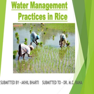 Water management practices in rice