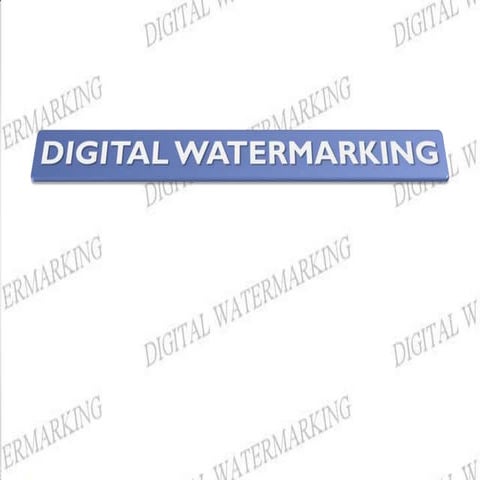 Digital Water marking