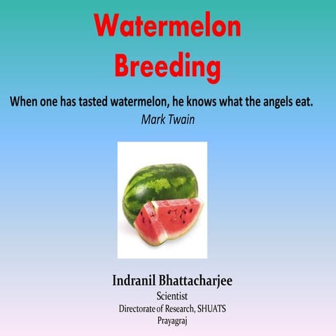 Watermelon breeding
