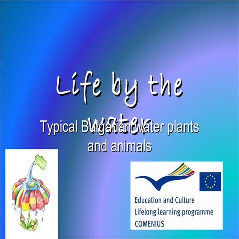 Water plants and animals