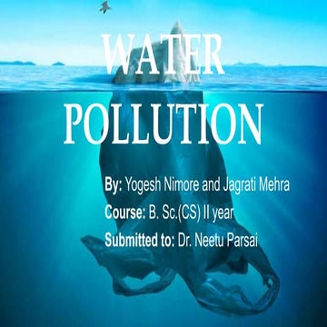 Water pollution