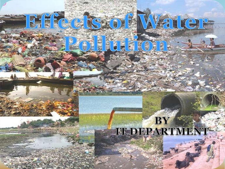 Essay of pollution of water