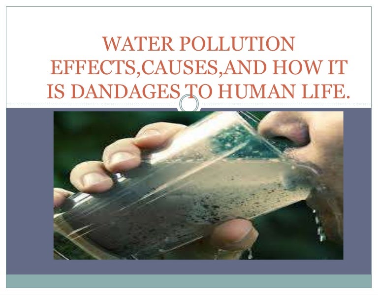 Water pollution effects,causes,and how it is dandages to human life.