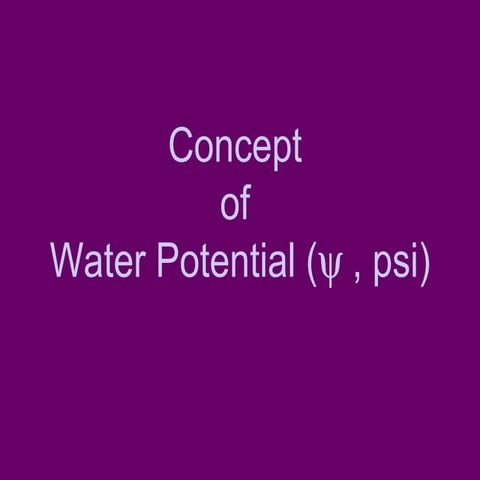 Water Potential