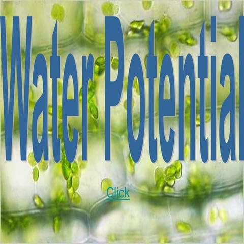 Water Potential.ppt