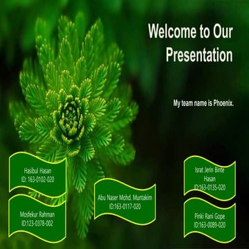 Water repellent finish