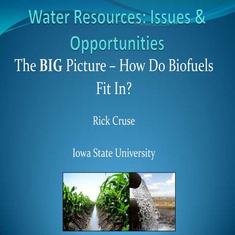 Water resources and biofuels   big picture