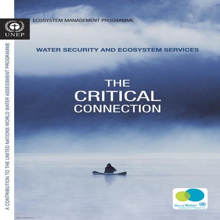 Water security and ecosystem services
