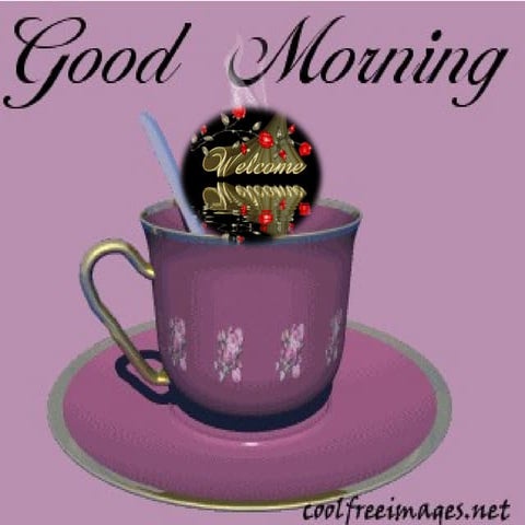 Shankaraiah N :Watershed Program  Present