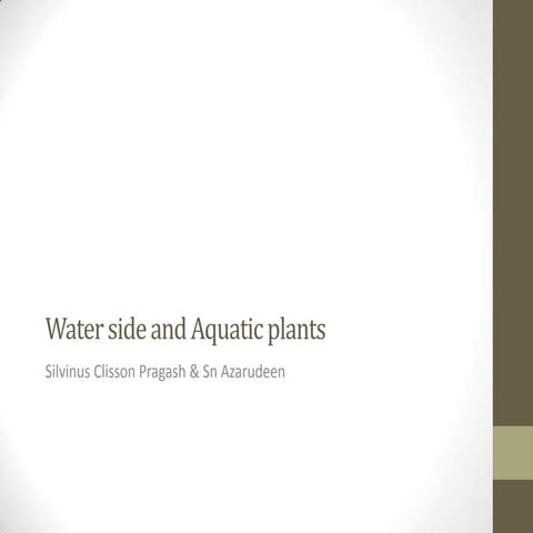 Water side and aquatic plants