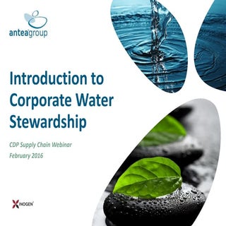 Corporate Water Stewardship 101