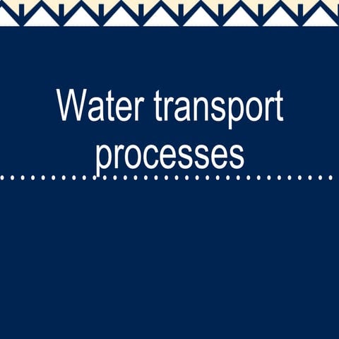 Water transport processes