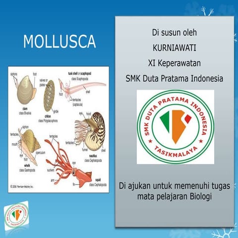 muluska ( wati babon ) smk duta pratama indonesia