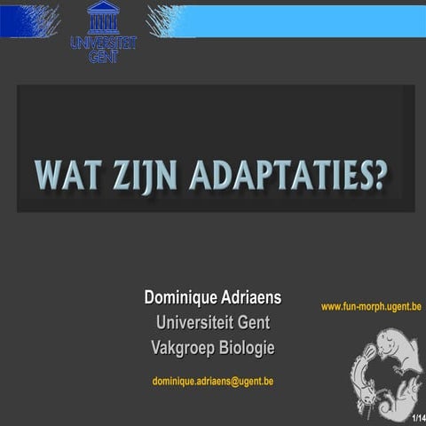 Wat Zijn Adaptaties
