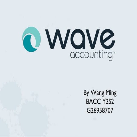 Wave accounting-by-wang-ming