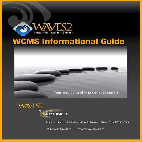Sample GAP Analysis Report for CMS System | PDF