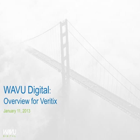 WavuDigital Overview