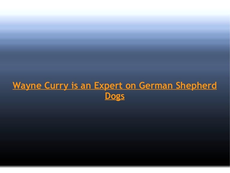 wayne curry german shepherd