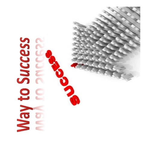 Way to success | PDF