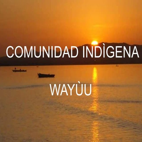 Los wayuu | PPTX