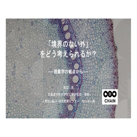  「境界のない外」 をどう考えられるか？──現象学の観点から──
