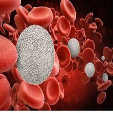 WBCells  presentation physiology and anatomy