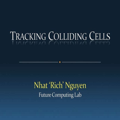Tracking Colliding Cells