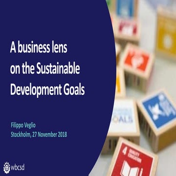 A business lens on the Sustainable Development Goals