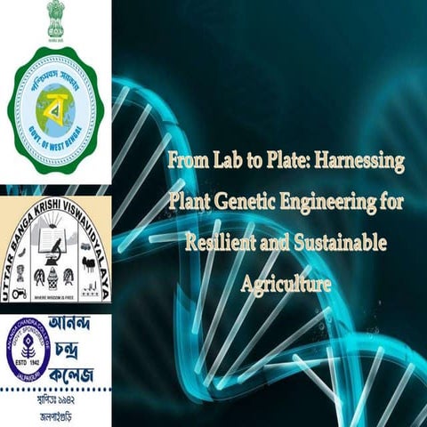 Applications and potential of genome editing tools in vegetable ...