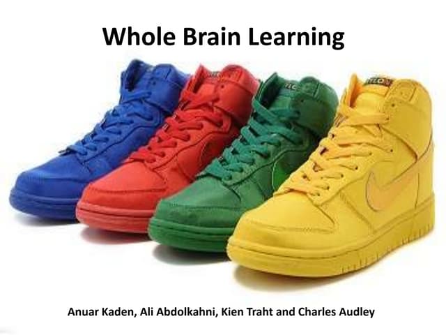 Whole Brain Learning