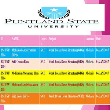 Work Break Down Structure