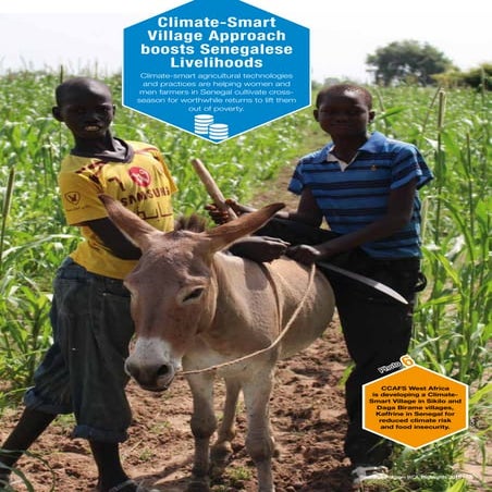 ICRISAT Research Program West and Central Africa 2016 Highlights-Climate-smar...