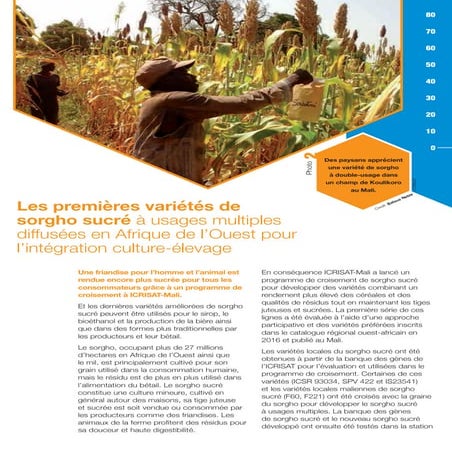 ICRISAT Research Program West and Central Africa 2016 Highlights- First Multi...