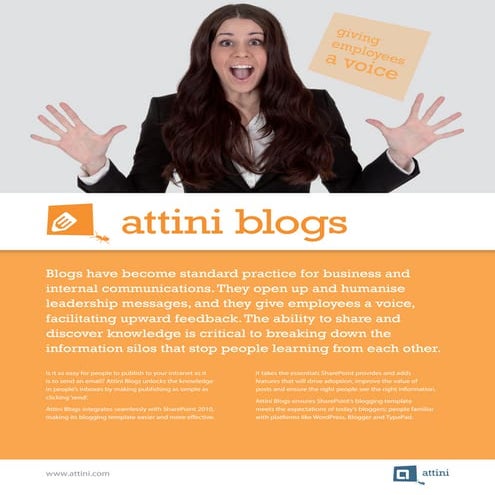 Brochure Attini Blogs