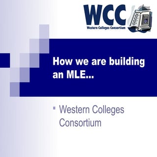 WCC Presentation on MLEs