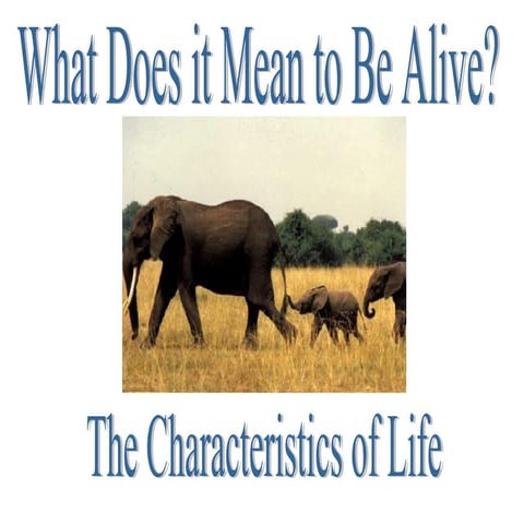 Characteristics Of Life | PPT