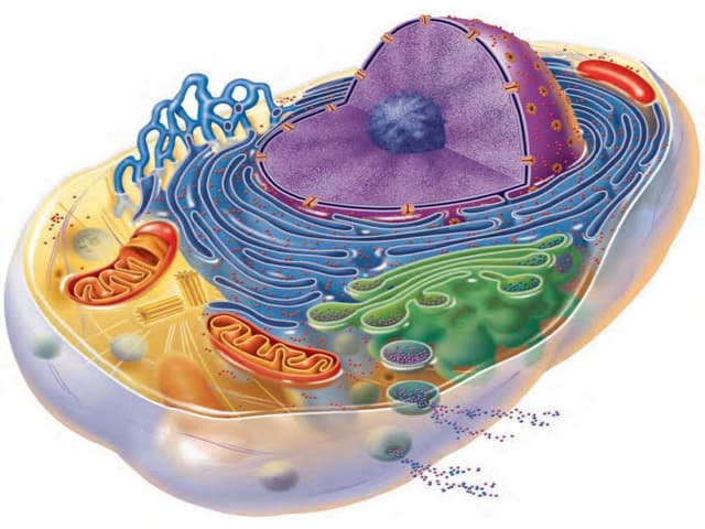 Cell physiology | PPTX